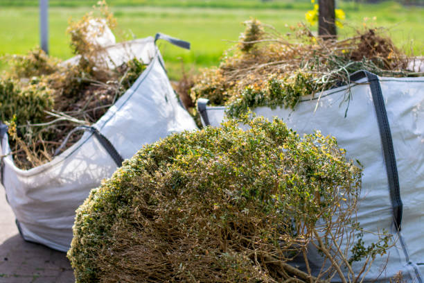 Best Junk Hauling Services  in Dunlap, OH